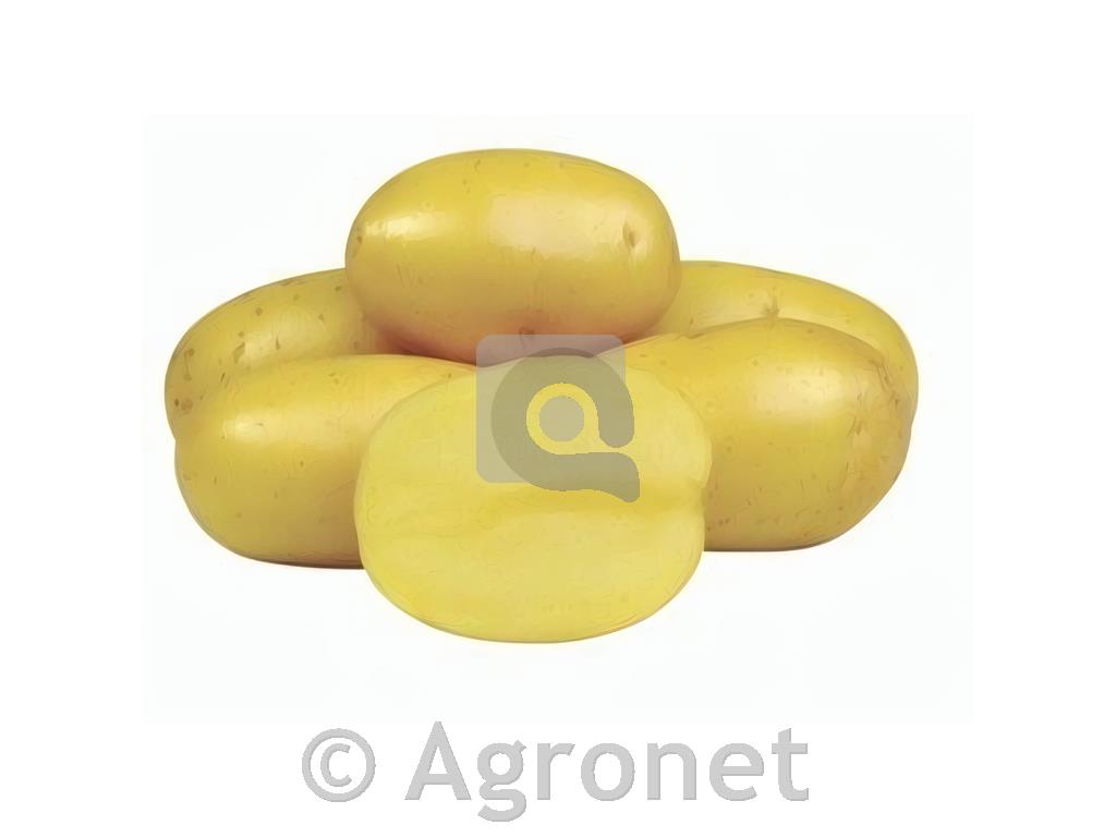 Krompir Anuscha A28/35 2,5kg