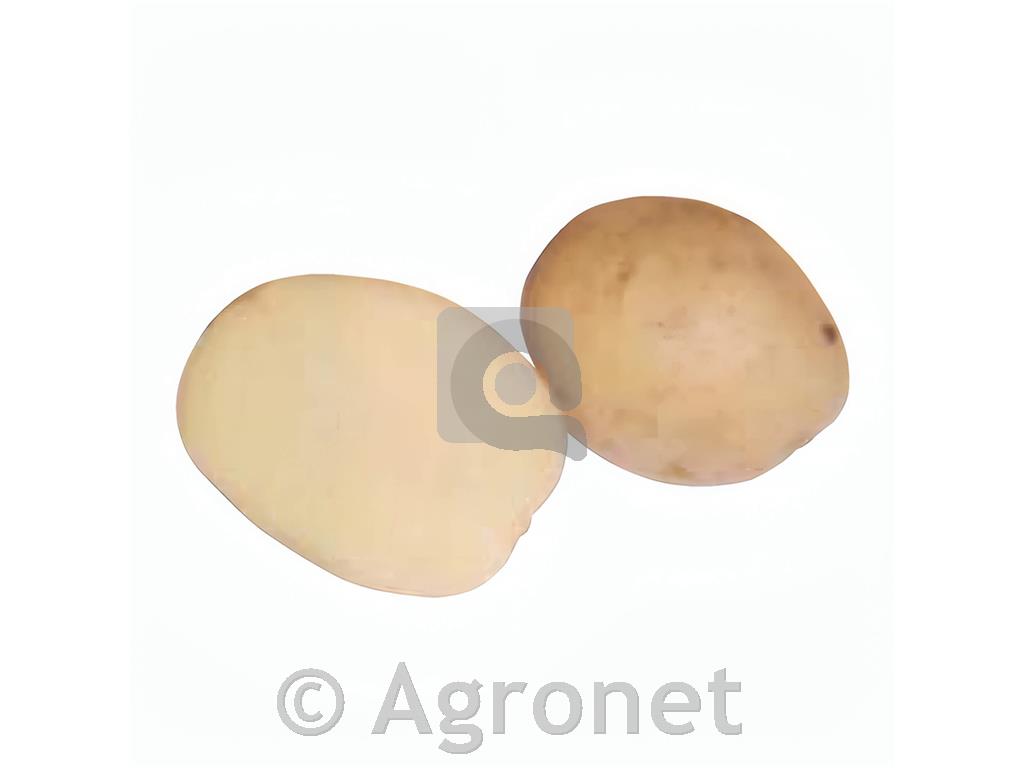 Krompir Solara A 35/55 25 kg