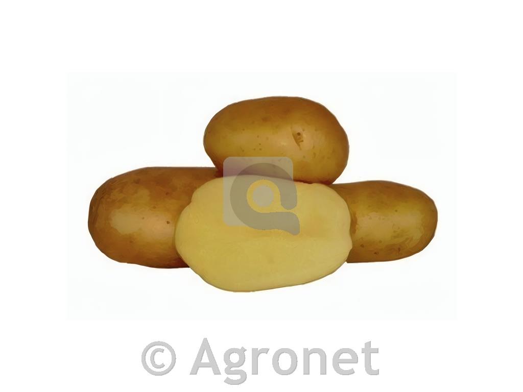 Krompir Adora E 35/45 25 kg
