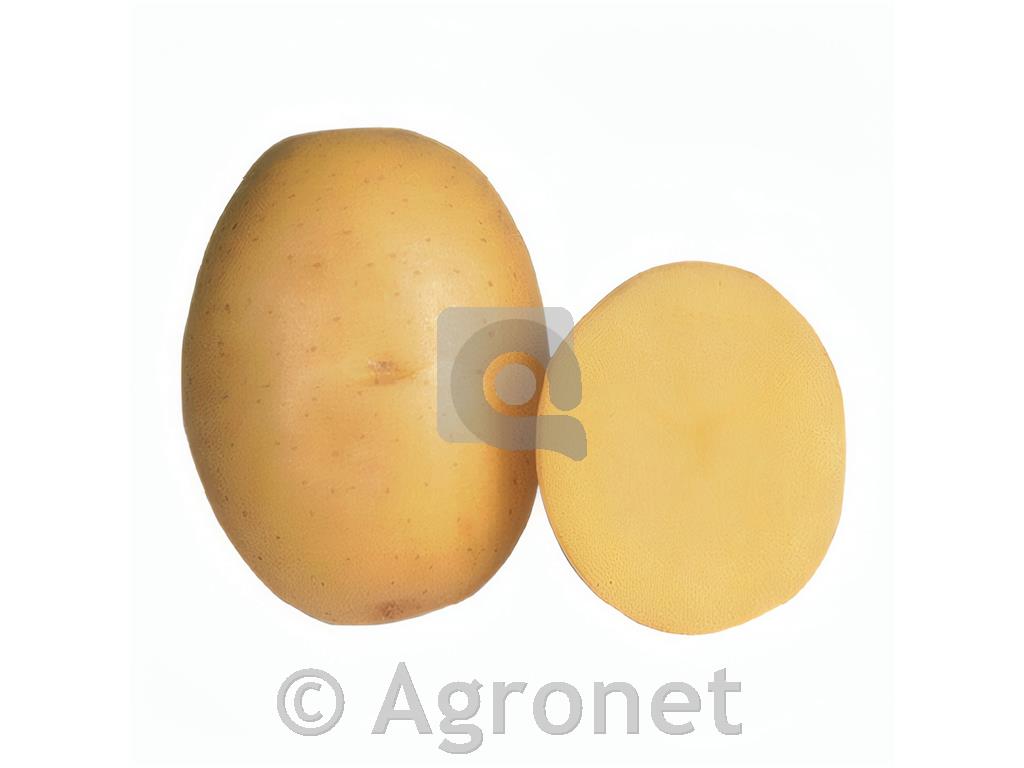 Krompir Marabel A 28/35 25 kg