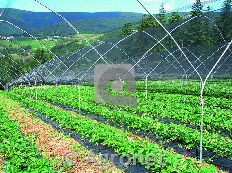Mreža proti toči dvojno tkana, 2,5 m