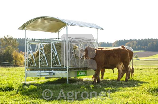 Pašne jasli s samozaporno krmno pregrado