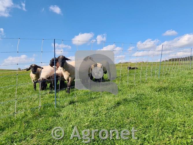 TitanNet Premium Vario (dvojna konica) 108cm, 50m
