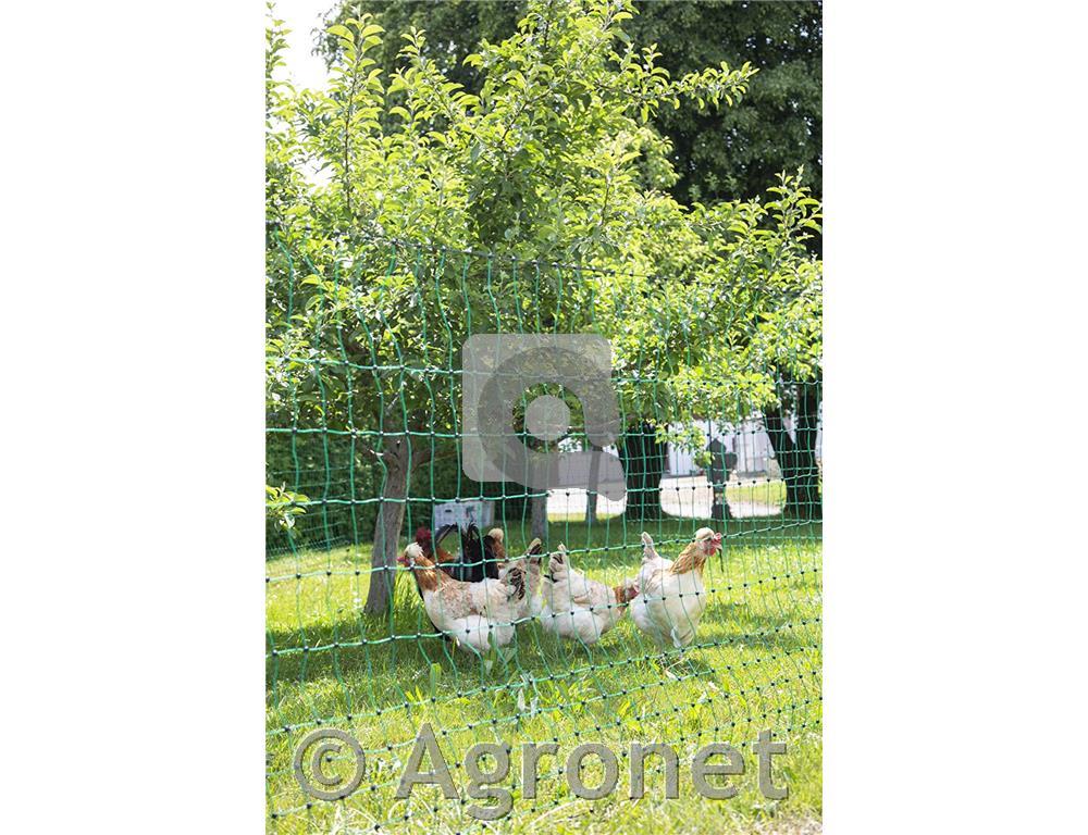 Mreža PoultryNet (dvojna konica) ne elekt. 106cm, 50m