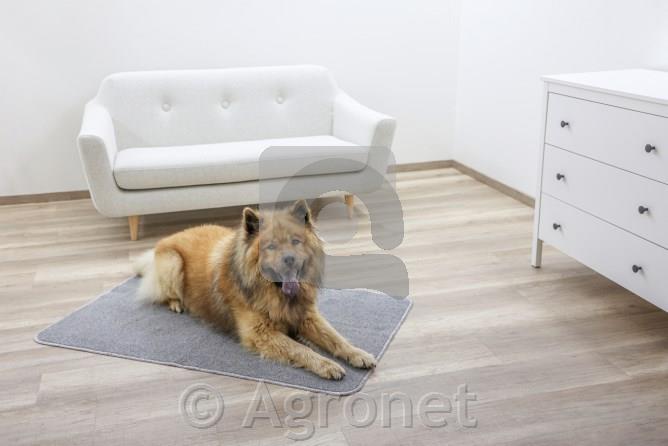 Nedrseča termo pasja preproga siva 125x80cm