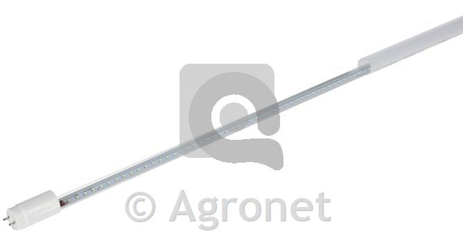 Žarnica LED EcoTUBE Plus 24W 150cm 4000K