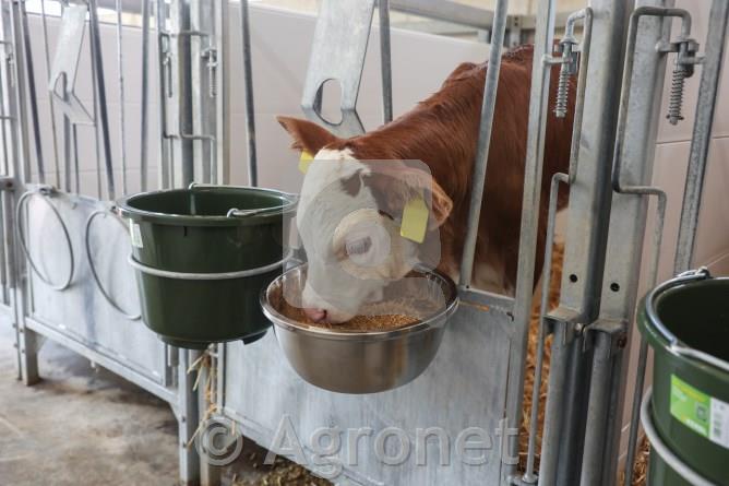 Krmna skleda inox 5,5 L