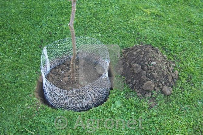 Košara za zaščito pred voluharji, 35cm