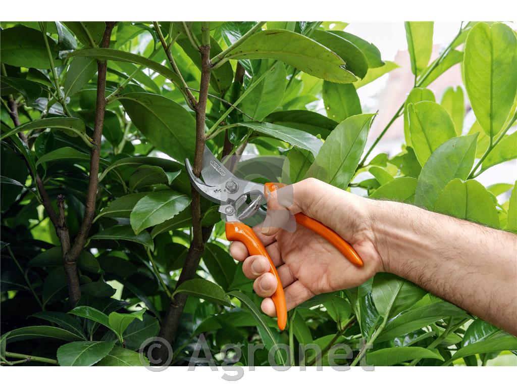 Vrtnarske škarje BYPASS PG 20 STIHL