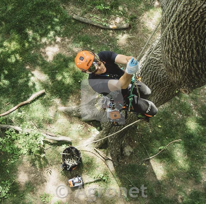 Motorna žaga MS 194 T, meč 35 cm STIHL