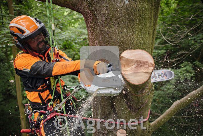 Akumulatorska žaga MSA 220 TC-O, meč 35 cm STIHL