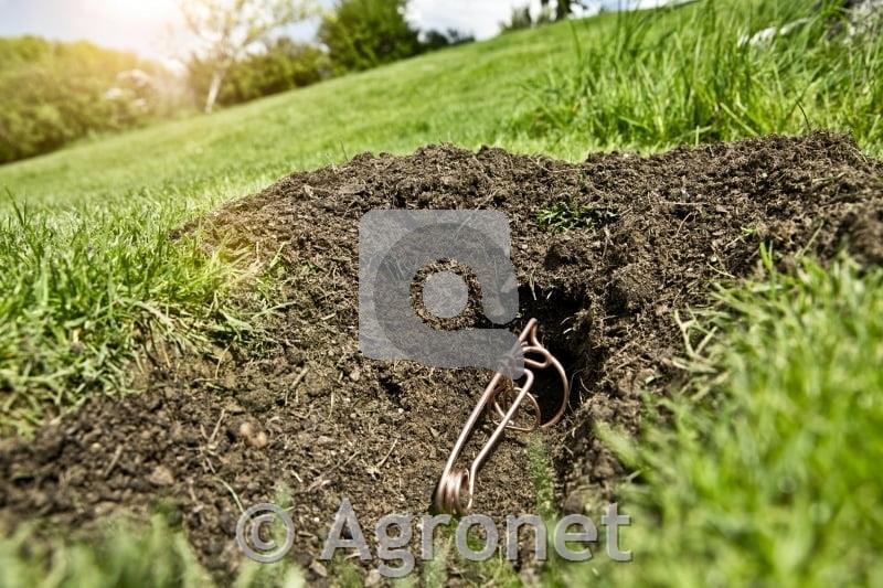 Past za krte, žična 2 kosa