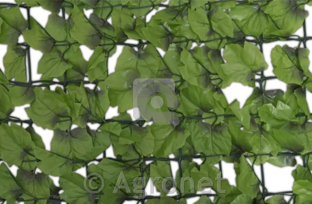 Vrtna ograja Wein 1,5 x 3m, zelena