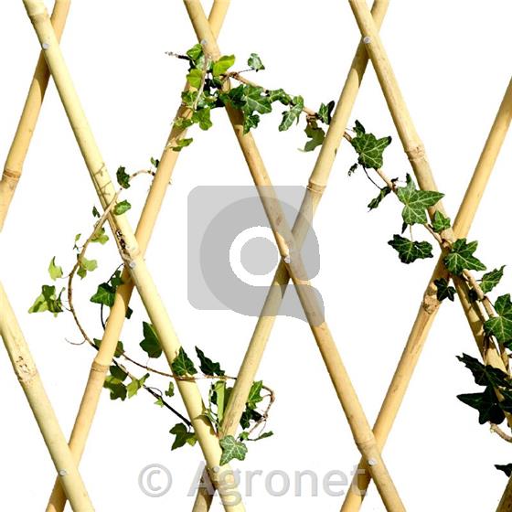 Opora za rože iz bambusa 90x240 cm