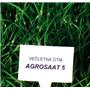 Travna mešanica Agrosaat 5 (za lažja tla) 10 kg