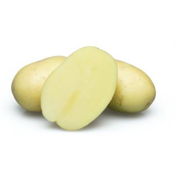 Krompir Evora A 35/55 10kg