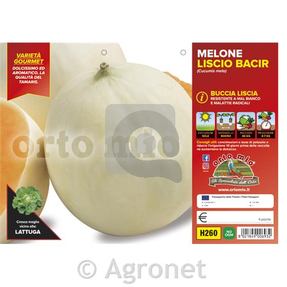 Melona gladka Bacir F1, 4 kos
