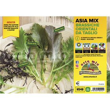 Asia mix,12 kos