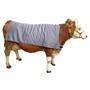 Pokrivalo za krave 155cm