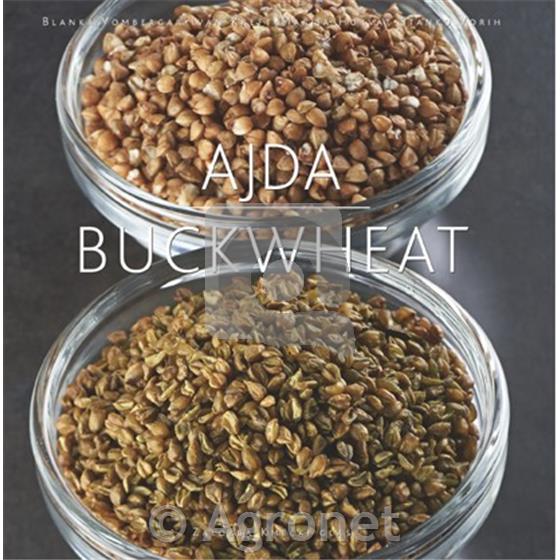 Ajda / Buckwheat
